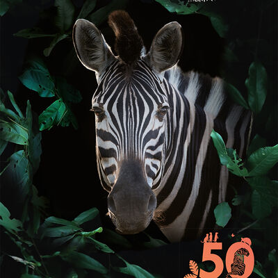 Jubilumsjahr "50 Jahre Zoo Aschersleben"