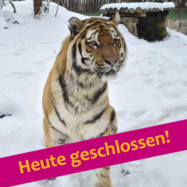Aufgrund der Witterungsverh&auml;ltnisse bleibt der Zoo geschlossen.