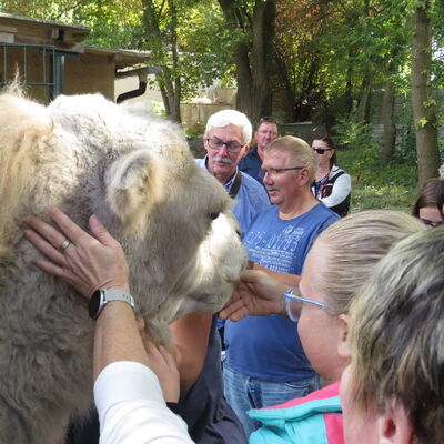 Bild vergrößern: gemeinsamer Ausflug in den Tierpark Delitzsch